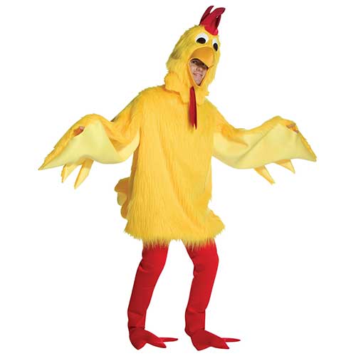 Costume or hen costume