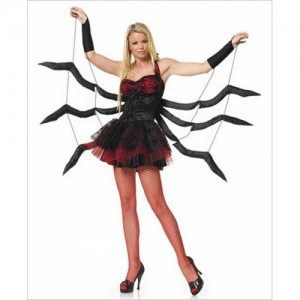 Spider