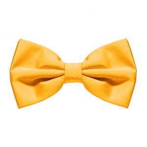 Sunny Yellow Bow Tie