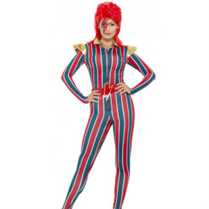 Ziggy Startdust David Bowie