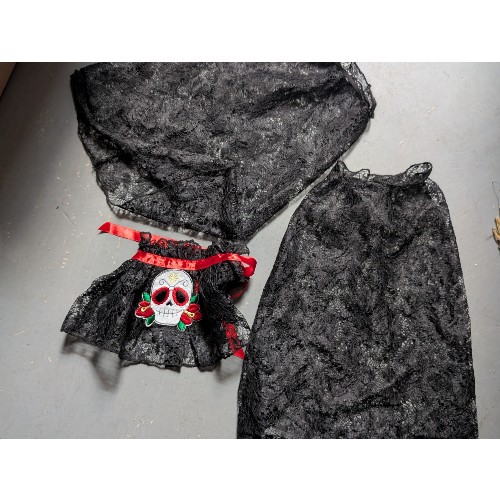 Day of the Dead Dress - EX HIRE - Image 2